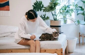Katzenfreundliche Zimmerpflanzen KatzeimHaus.de