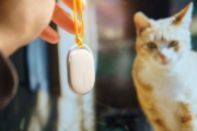 AirTag oder GPS-Tracker für Katzen? Wann ein Crowd-Finder reicht