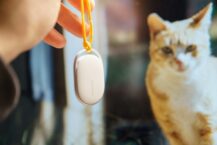 AirTag oder GPS-Tracker für Katzen? Wann ein Crowd-Finder reicht